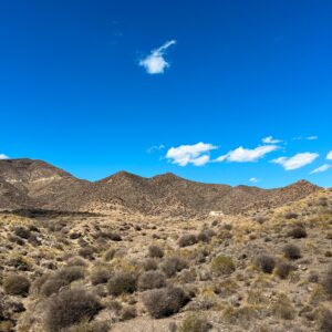 Location 00106