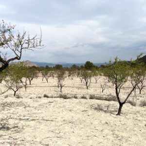 Location 00109