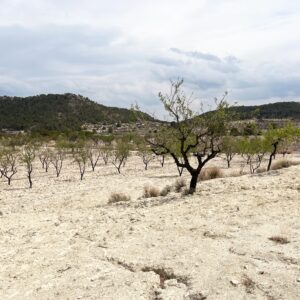 Location 00109