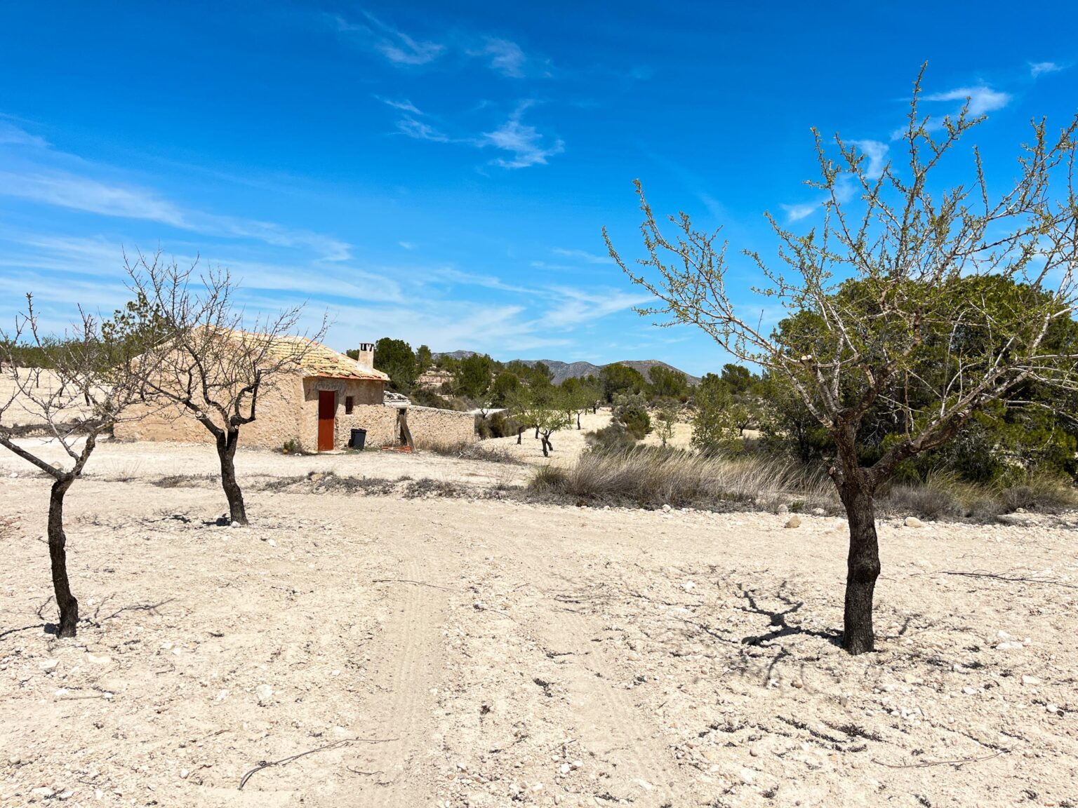 Location 00113